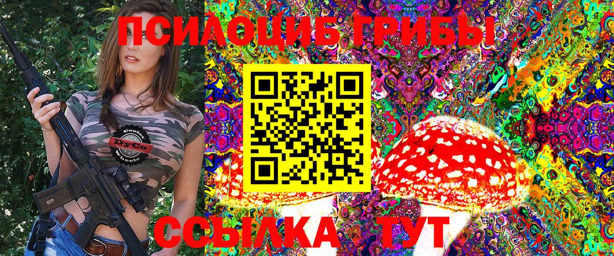 Псилоцибиновые грибы Psilocybine cubensis Луга