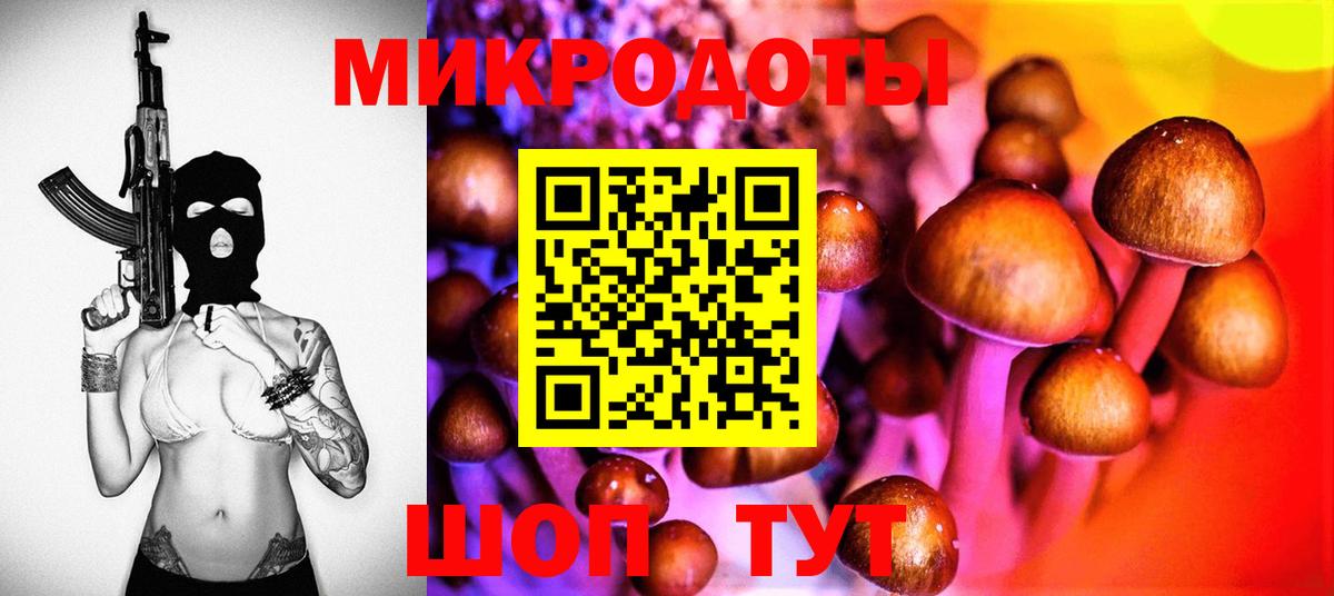 Луга  купить  цена  Вход с VPN  Галлюциногенные грибы Cubensis 